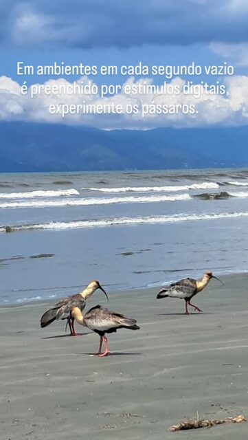 YOGA para reprogramar o cérebro no quesito CONTEMPLAÇÃO e ESPERA.
Aulas na Martim de Sá, terças quartas e quintas.