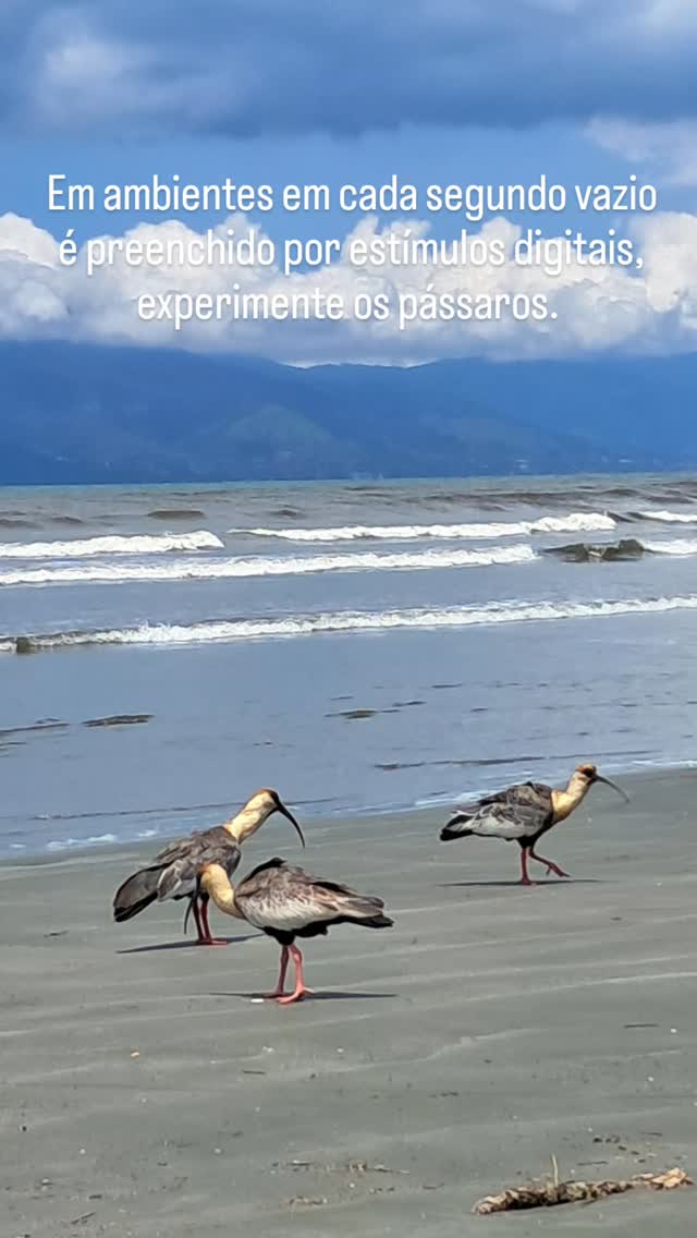 YOGA para reprogramar o cérebro no quesito CONTEMPLAÇÃO e ESPERA.
Aulas na Martim de Sá, terças quartas e quintas.